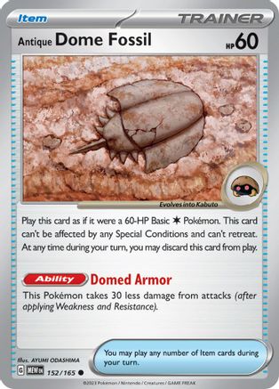 Antique Dome Fossil 152 - Common