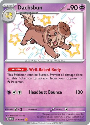Dachsbun 161/091 - Holofoil - Shiny Rare