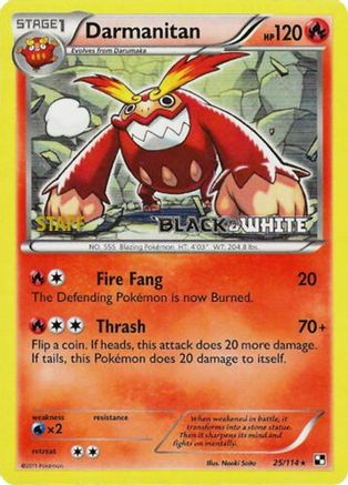 Darmanitan - 25/114 (Prerelease) [Staff]/114  - Holofoil - Promo