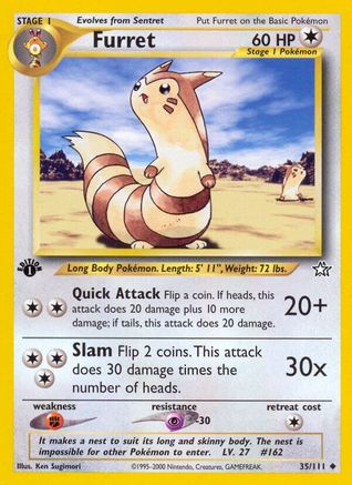 Furret 035 - 1st Edition - Uncommon