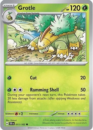 Grotle 011/162  - Common