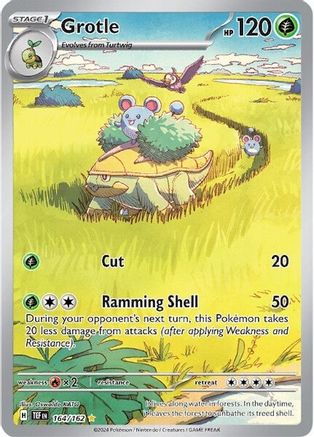 Grotle 164/162 - Holofoil - Illustration Rare