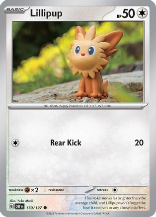 Lillipup 170  - Common