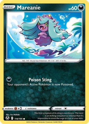 Mareanie 114 - Common