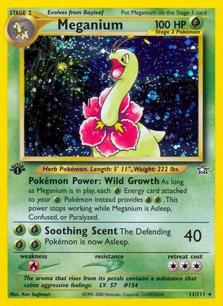 Meganium (11)/111 - 1st Edition Holofoil - Holo Rare