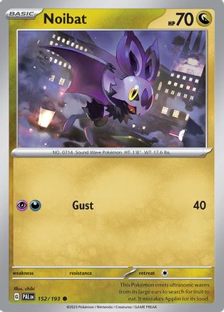 Noibat 152  - Common