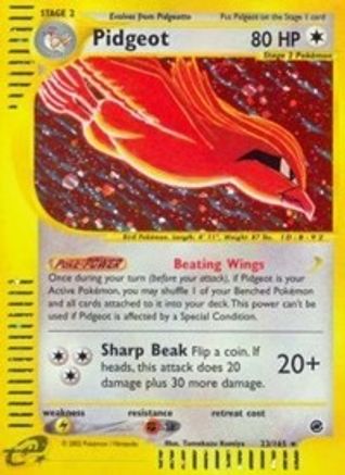 Pidgeot (23) - Holofoil - Holo Rare