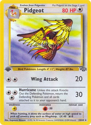 Pidgeot (24) (24) 024 - 1st Edition - Rare