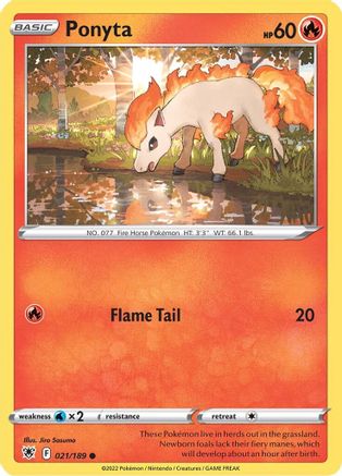 Ponyta 021 - Common