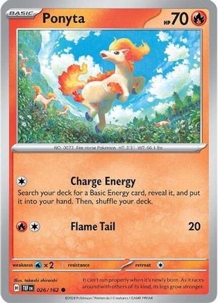 Ponyta 026  - Common
