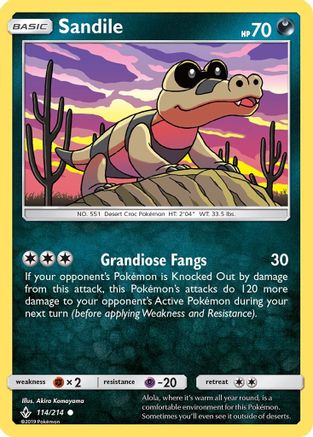 Sandile (114) - Common
