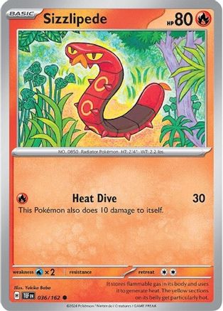 Sizzlipede 036  - Common