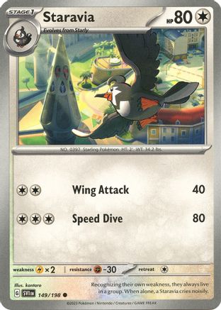 Staravia 149  - Common