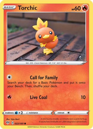 Torchic 022 - Common