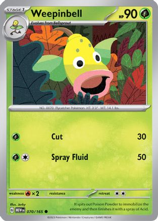 Weepinbell 070  - Common
