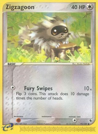 Zigzagoon - Common