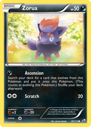 Zorua 089 - Common